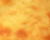 Flan Patissier Dukan
