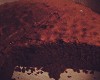 Gateau au Chocolat Moelleux