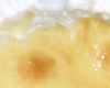 Gateau au Fromage Blanc Dukan