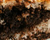 Gateau au Nutella et noix de coco