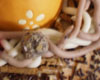 Gateau de Paques au moka