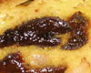 Gateau de Paques aux pruneaux