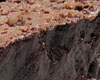 Gateau de riz au lait au chocolat