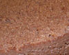 Gateau de Semoule au Chocolat