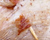Gigot d'Agneau Farci