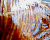 Gigot d'Agneau Fondant