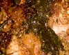 Gigot d'Agneau Herbes de Provence