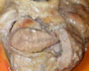 Jarret de Veau au Cidre