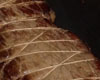 Roti de Boeuf Cocotte