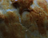 Roti de Boeuf en Croute de Moutarde