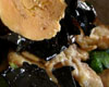 Roti de Veau au Foie Gras