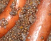 Saucisses de Porc Lentilles