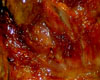Souris d'Agneau Braise