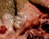 Steak d'Autruche Airelles