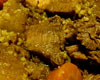 Tajine d'Agneau aux Coings