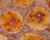 Tarte  la banane chocolat