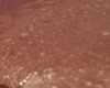 Tarte au chocolat au lait