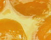 Tarte aux abricots