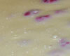 Tarte chocolat blanc framboise