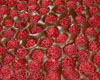 Tarte framboise chocolat