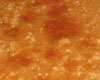 Tarte sucre crème